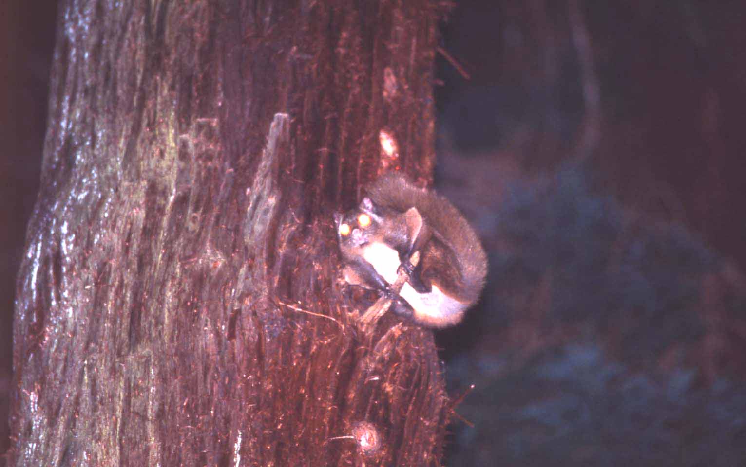 f0047593_1035296.jpg