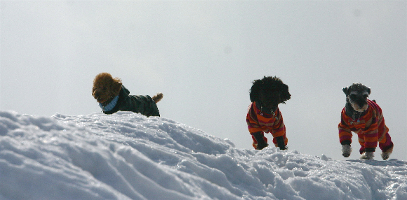 f0001895_18564687.jpg