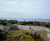 c0059596_226561.jpg
