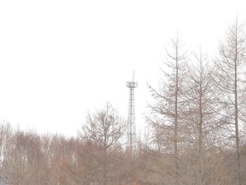 f0020302_18112512.jpg