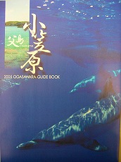 f0048405_169174.jpg