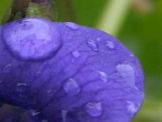 b0061107_19454110.jpg