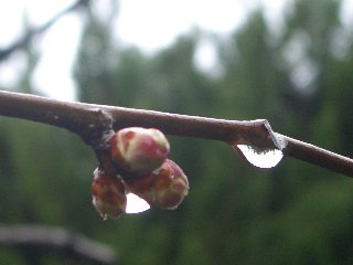 b0061107_19493780.jpg
