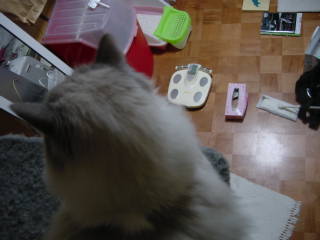 c0024410_21203135.jpg