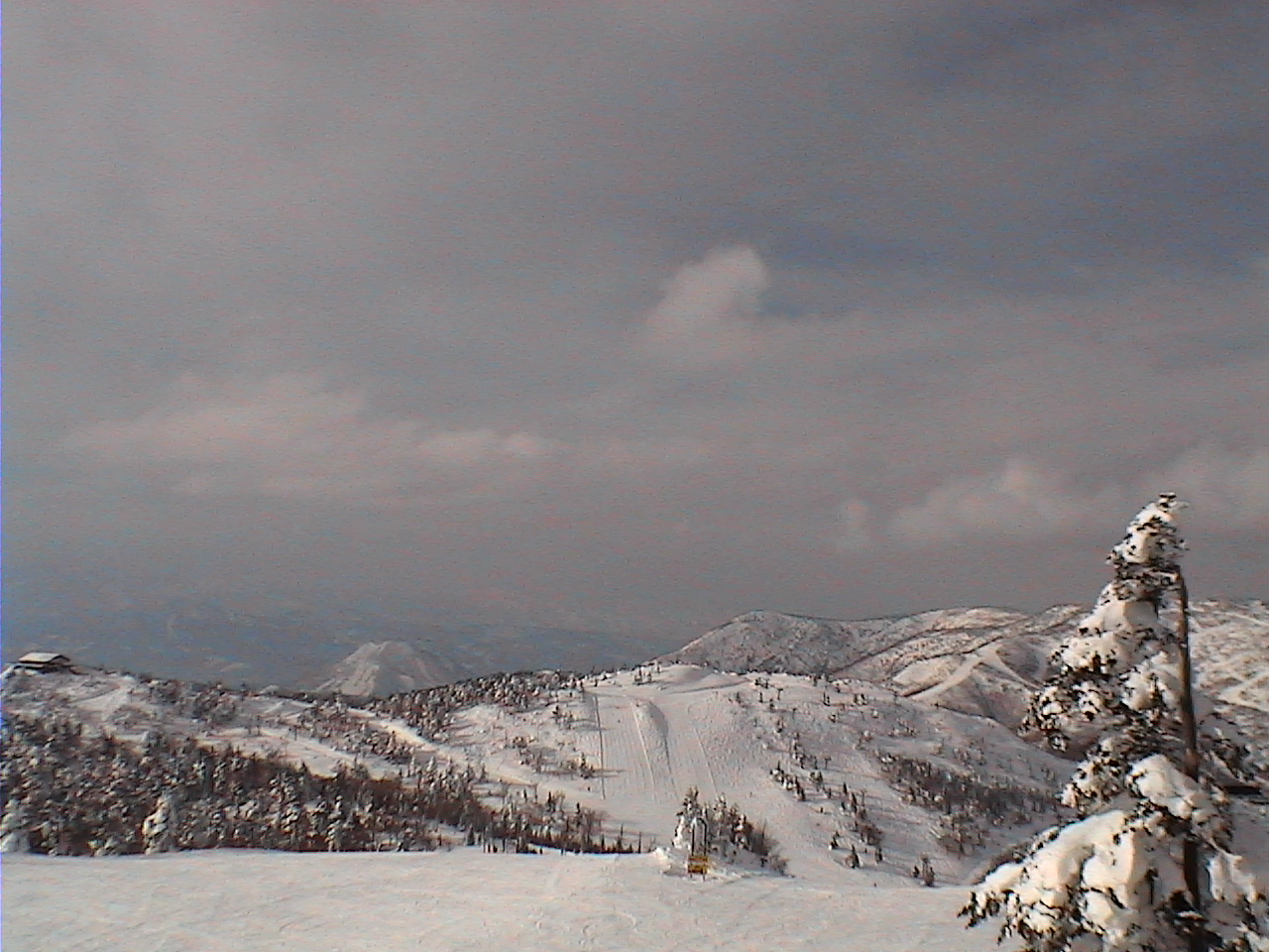 f0054610_15222699.jpg
