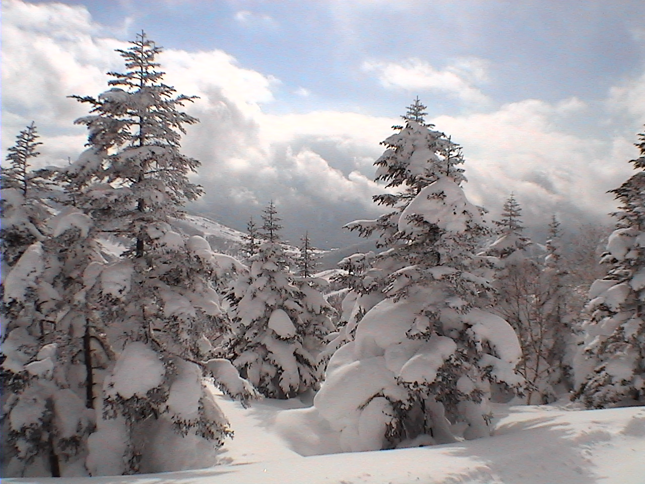 f0054610_1522519.jpg