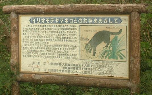 a0052515_1549727.jpg