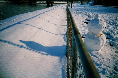 a0034419_12242331.jpg