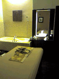 d0038319_1138052.gif
