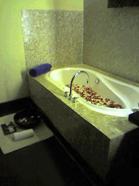 d0038319_11392587.gif
