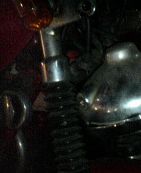 b0049421_131878.jpg