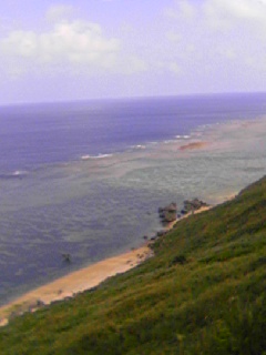 e0067640_95649.jpg