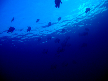 d0065247_0301792.jpg