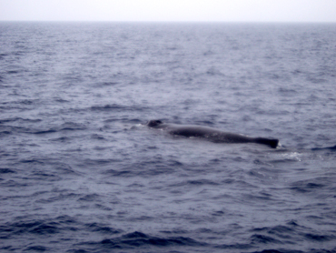 d0065247_22565222.jpg
