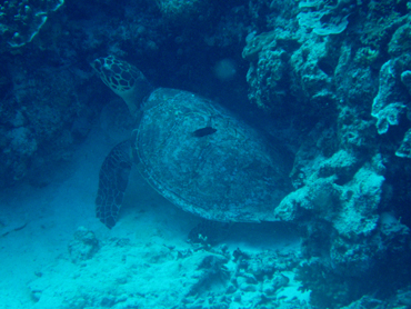 d0065247_22593393.jpg