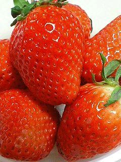 a0020672_126315.jpg