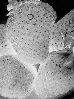 a0020672_1311667.jpg