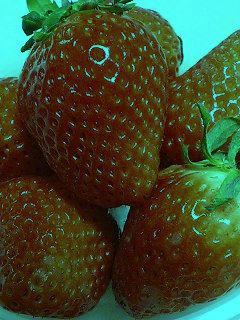 a0020672_1315437.jpg