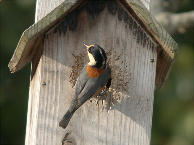 d0009773_13392244.jpg