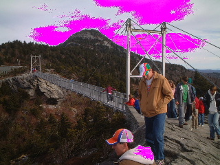 b0001284_6493729.jpg