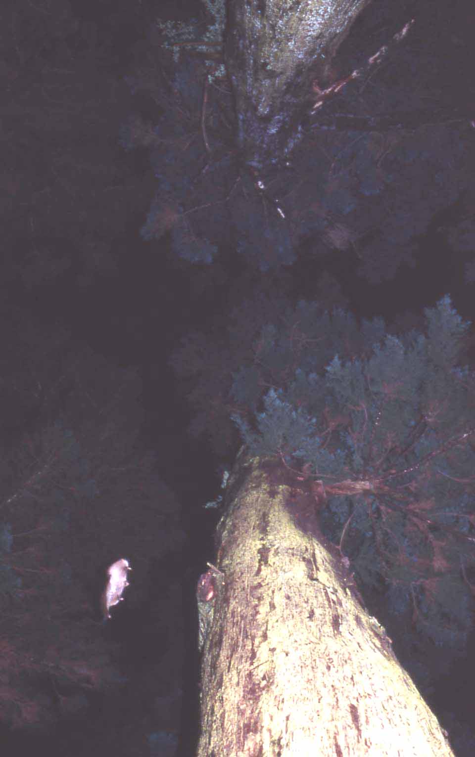 f0047593_1014589.jpg