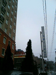 a0009097_11215274.jpg