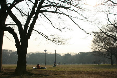 c0044199_127488.jpg