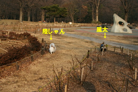 c0044199_1315420.jpg