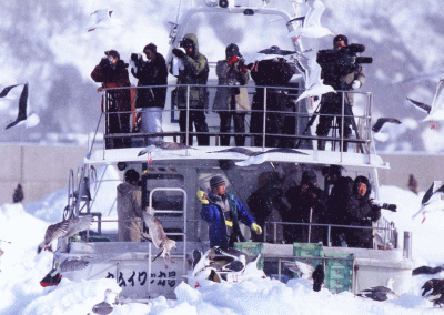 f0020302_1305511.gif