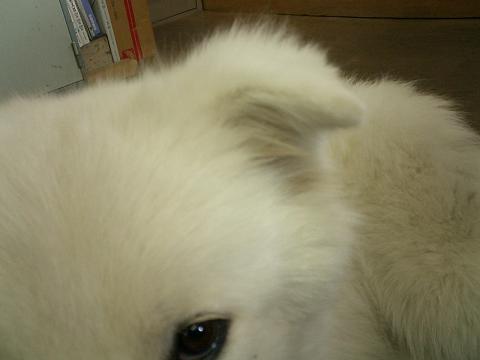 f0025103_15393117.jpg
