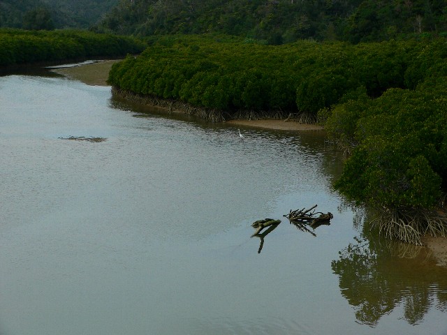 a0018608_1573896.jpg