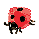 e0011516_074818.gif