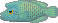 b0044726_9342443.gif