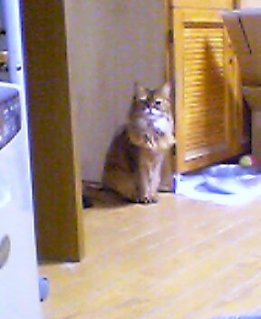 e0006428_2532780.jpg