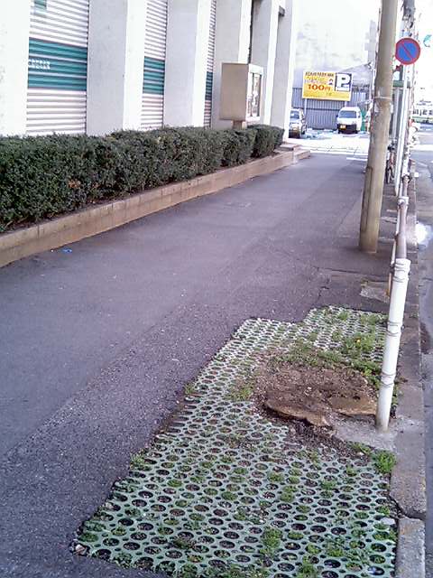 d0036630_21573646.jpg