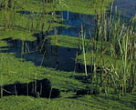 e0013640_2571936.jpg