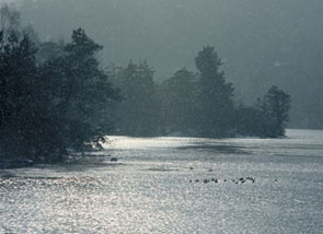 e0013640_332999.jpg