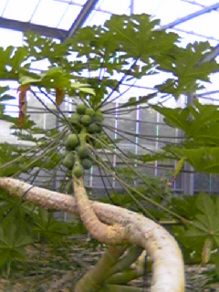 e0067640_22545835.jpg