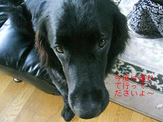 f0050955_13583165.jpg