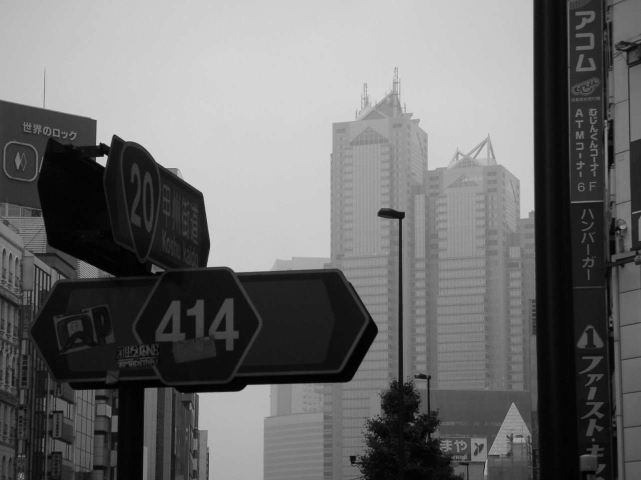 a0065481_1544275.jpg