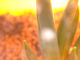 c0073387_20123096.jpg
