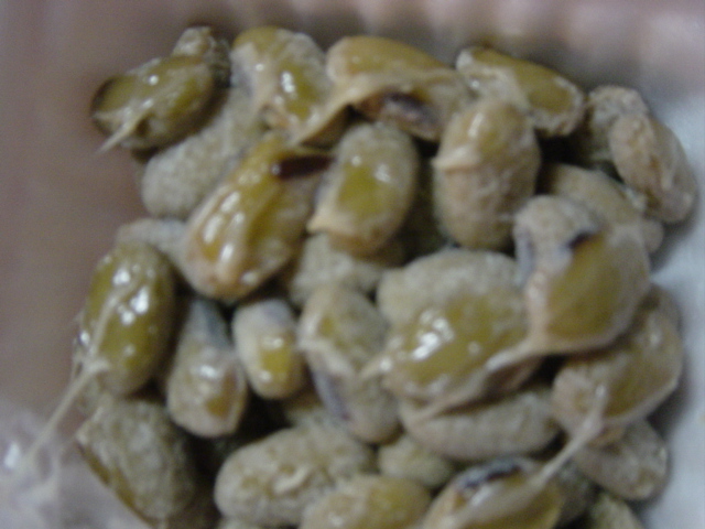 d0053990_17203394.jpg
