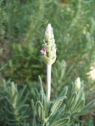f0057596_19231474.jpg