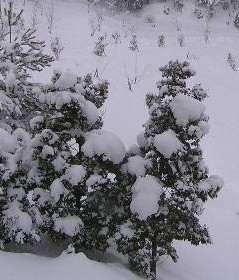 a0047200_6502079.jpg