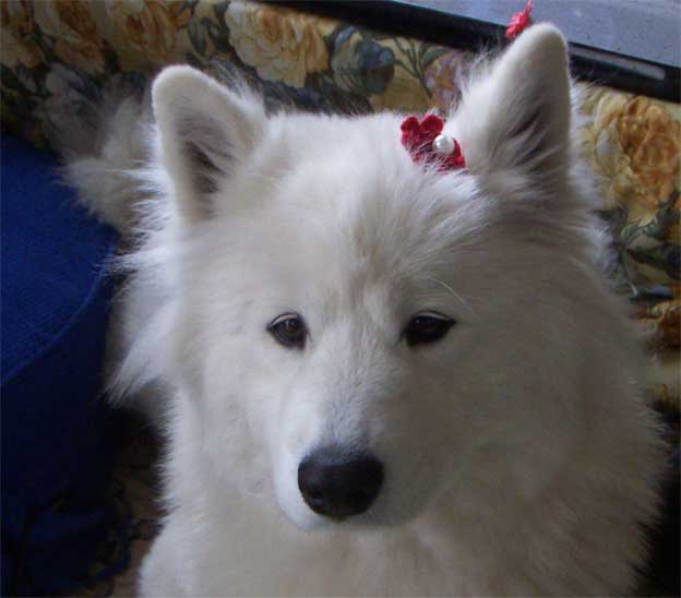 e0018604_15562257.jpg