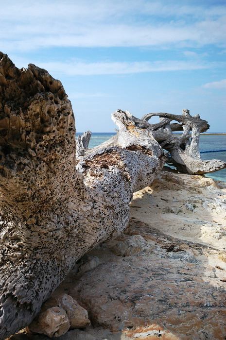 f0071708_18223595.jpg