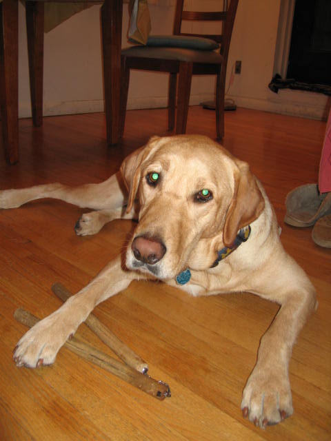 f0036409_1148098.jpg
