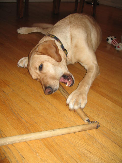 f0036409_1151030.jpg
