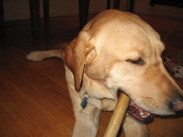 f0036409_11524178.jpg