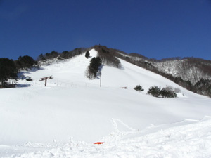a0049226_9545640.jpg